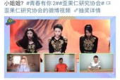 国产视频青,青春记忆中的光影传奇
